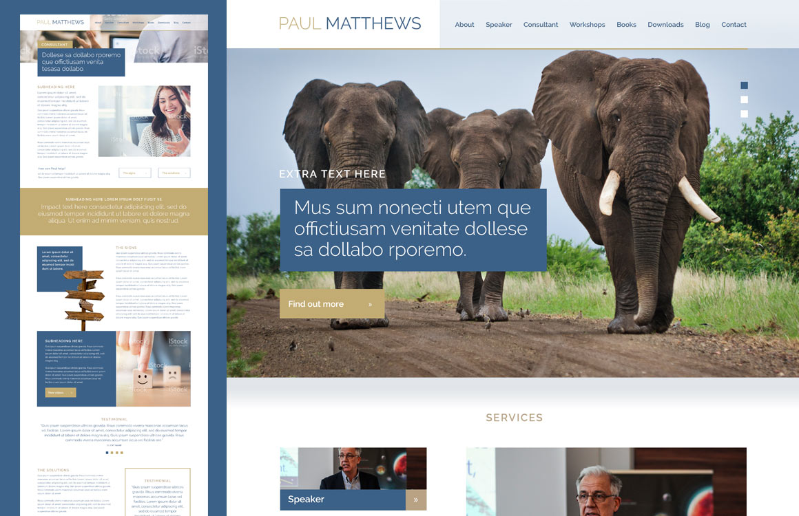 Website design for L&D speaker